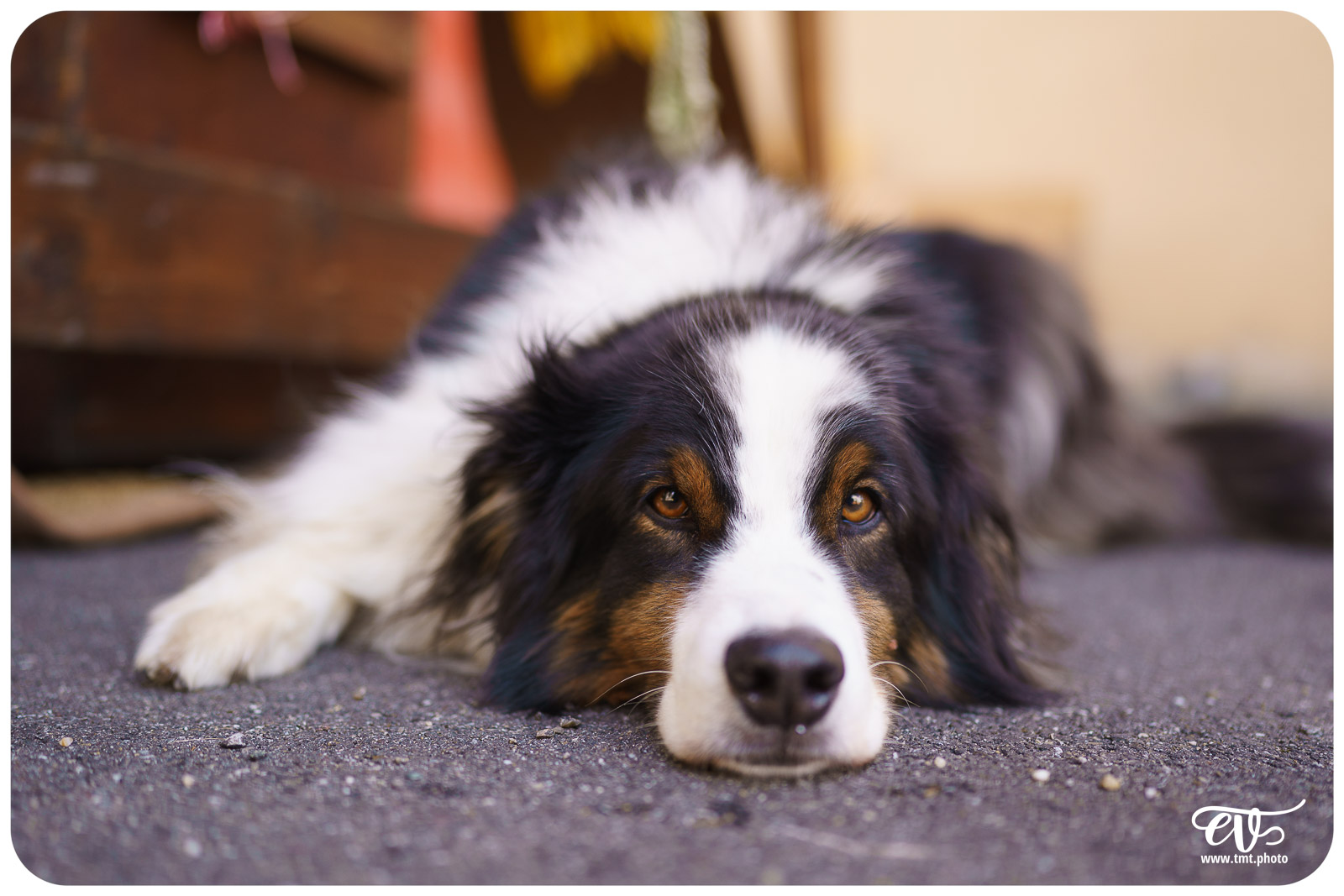 JOURNÉES EUROPÉENNES DE L'ARCHÉOLOGIE
